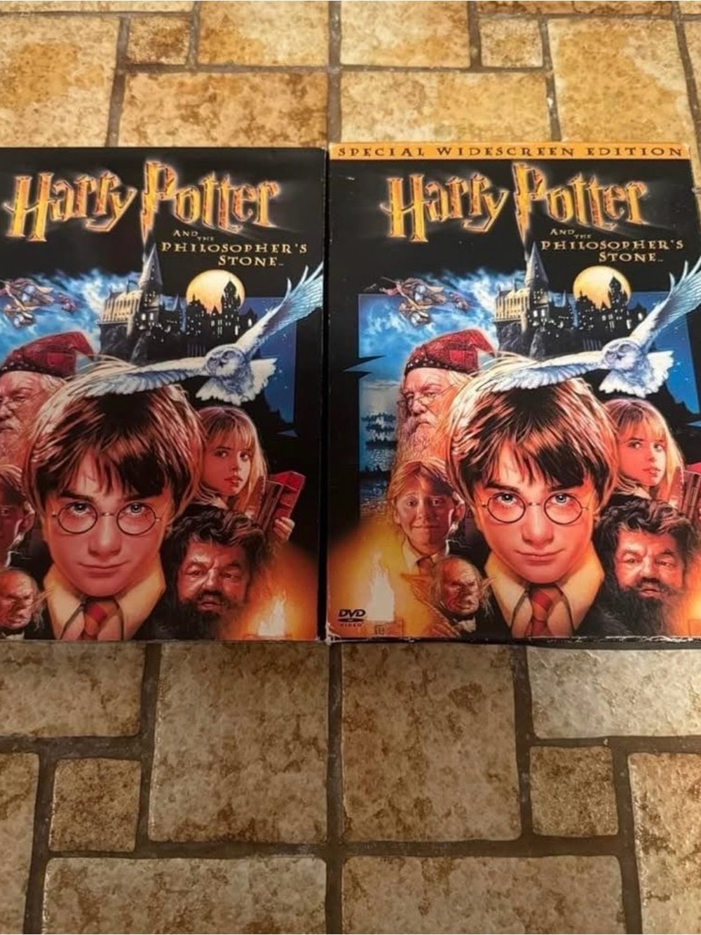 Harry Potter And The Philosophers Stone 2 Disc Set DVD